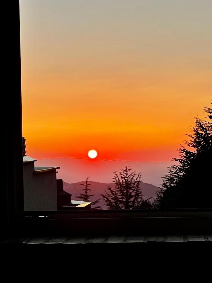 Warehouse Sierra Nevada Apartman Kültér fotó